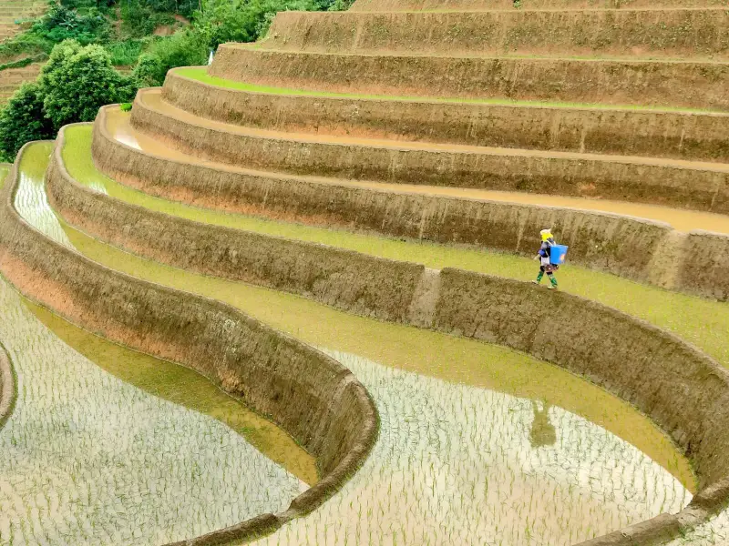 上海楠殇商科技智能设备选购指南：电脑周边配件对比分析